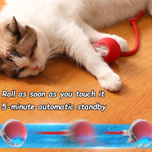 Interactive Smart Cat Ball – Electronic Cat Toy with Rechargeable Battery - Image 4