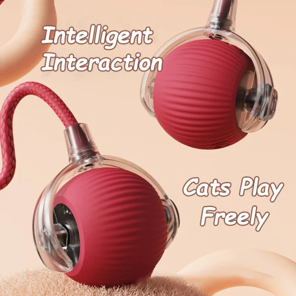 Interactive Smart Cat Ball – Electronic Cat Toy with Rechargeable Battery - Image 2