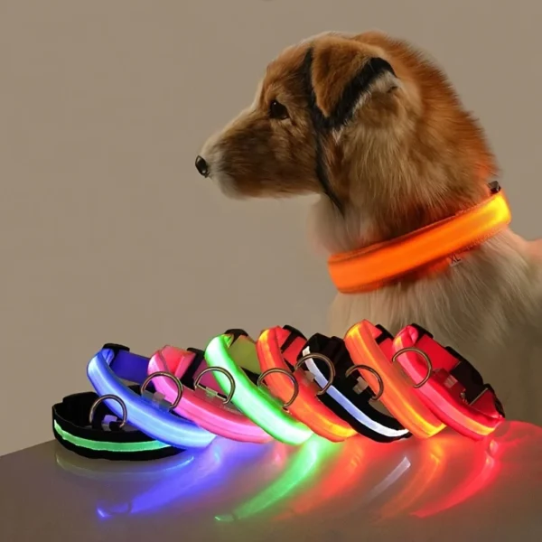 Stay safe on night walks with the Nylon LED Glow-in-the-Dark Dog Collar! Featuring durable nylon material, adjustable fit, and bright LED lights, it’s perfect for all-season safety.