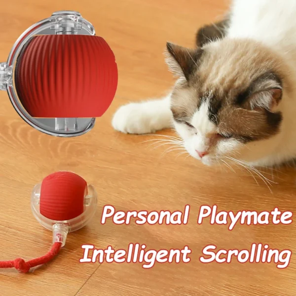 Interactive Smart Cat Ball – Electronic Cat Toy with Rechargeable Battery - Image 3
