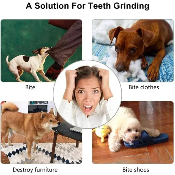 Dog Toy Ball – Nontoxic Bite-Resistant Chew Ball for Dogs, Puppies, and Cats - Image 6