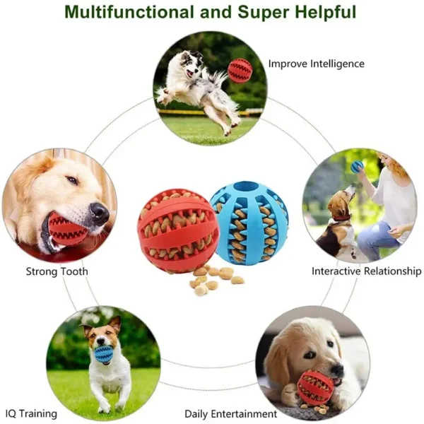 Dog Toy Ball – Nontoxic Bite-Resistant Chew Ball for Dogs, Puppies, and Cats - Image 5