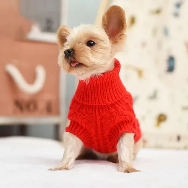 Dog Winter Sweater – Knitted Pet Clothes for Small & Medium Dogs - Image 3