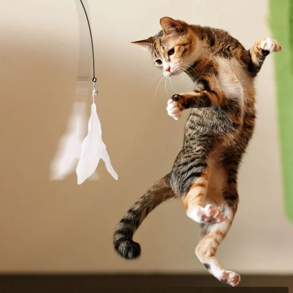 Cat Teaser Toy – Interactive Bell & Feather Wand with Suction Cup Pole - Image 6
