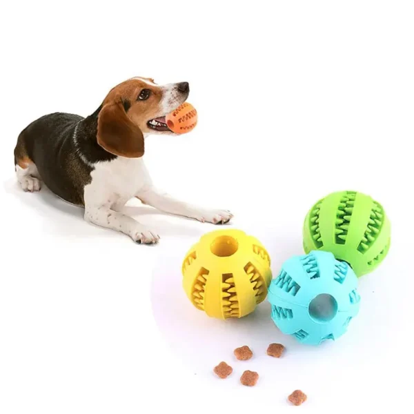 Dog Toy Ball – Nontoxic Bite-Resistant Chew Ball for Dogs, Puppies, and Cats - Image 4