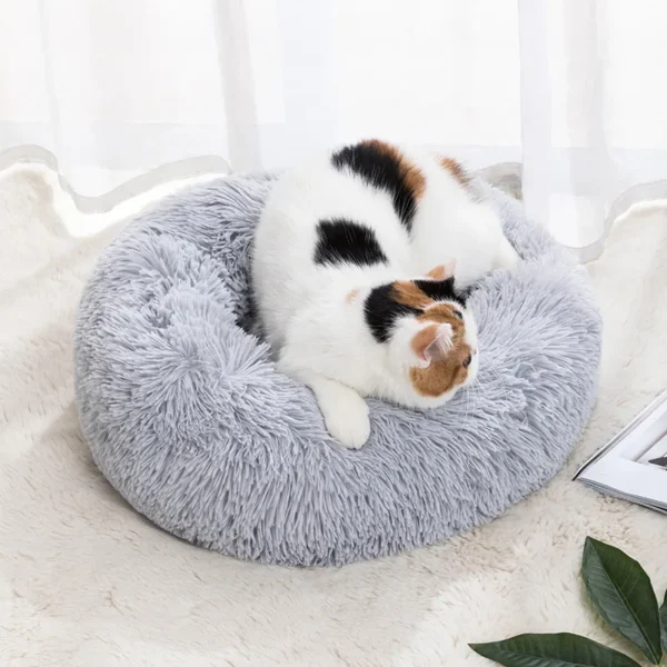 This Circular Plush Cat Bed provides deep sleep comfort with soft insulation, a raised rim for security, and a removable washable cover—perfect for all seasons!