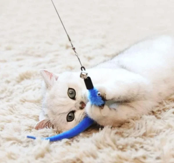 11pcs Replacement Cat Feather Toy Set - Feather Replacement Heads for Retractable Cat Stick - Image 5