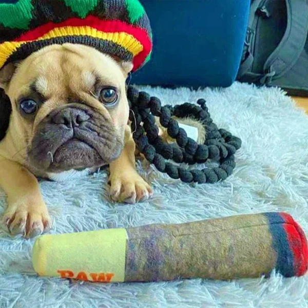 Funny Interactive Dog Toys - Cigar Design Plush Squeaky Pet Toy - Image 3
